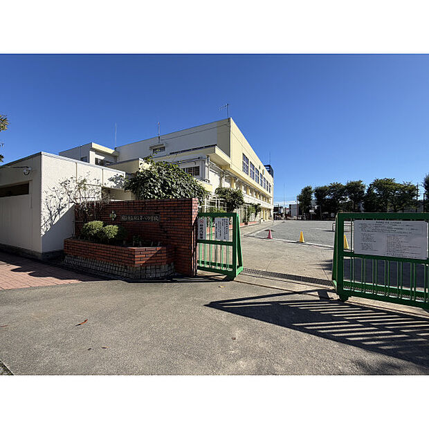 第八小学校