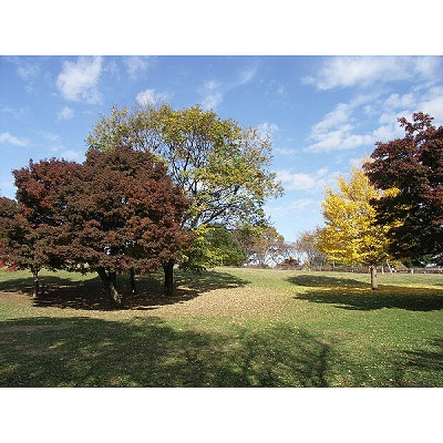 武蔵国分寺公園