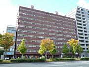 五条駅より徒歩9分 11階 築43年2ヶ月の賃貸物件