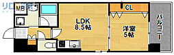 STORM 1LDKの間取図画像