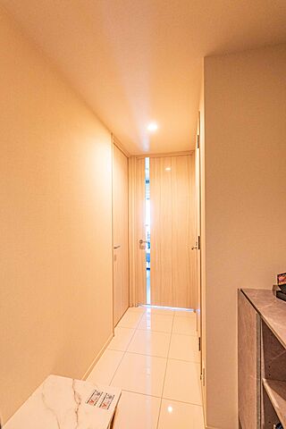 室内 リビオレゾン新虎通り 10階/-