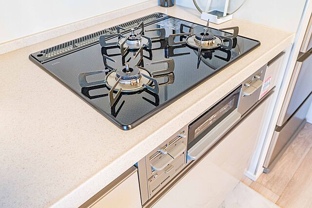 室内 リビオレゾン新虎通り 10階/-