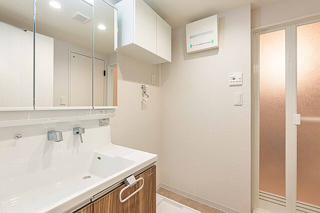 洗面 東急ドエル・アルス石川台Ｂ棟 1階/-