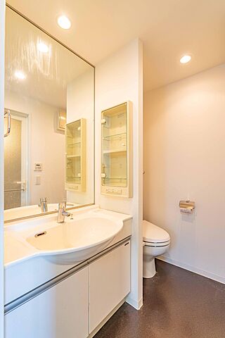 洗面 ＬＥ-ＬＩＯＮ　ＩＫＥＢＵＫＵＲＯ　ＣＯＭＦＯＲＴ 14階/-