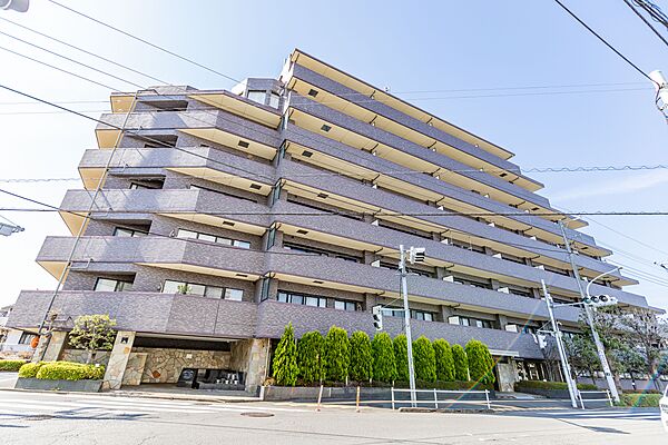 外観：313004755570