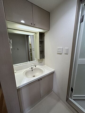 洗面 ステイシア高崎 9階/-