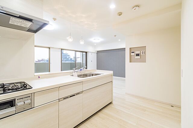 キッチン コスモ・ザ・パークス調布多摩川 4階/-