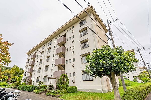 外観：314002632259