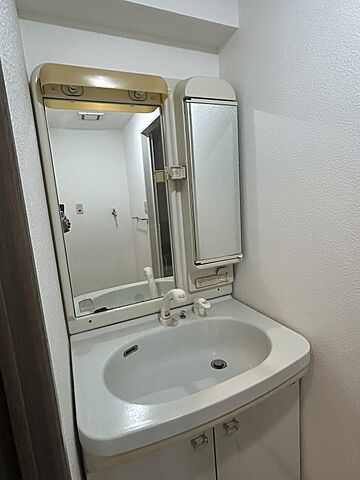 洗面 ライオンズマンション高崎 2階/-