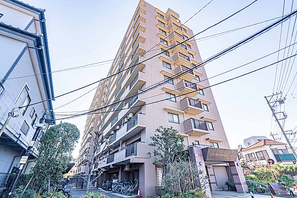 外観：313004667841