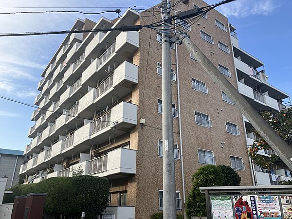 外観：311002473390