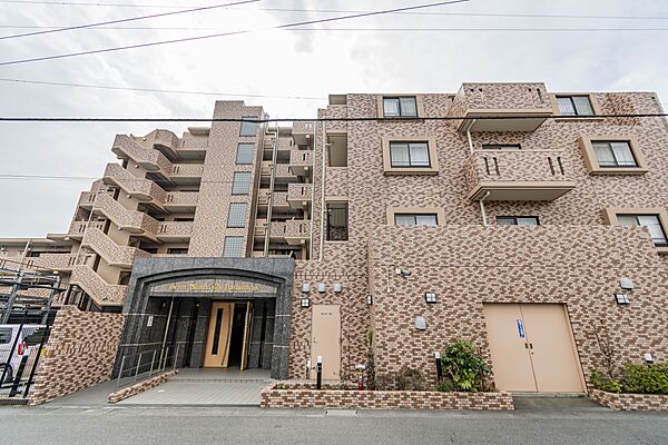 外観：311002359593