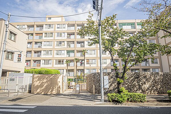 外観：313004686332