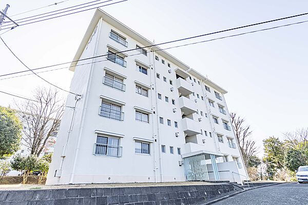 外観：313004622750