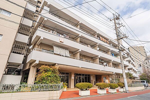 外観：313004625354