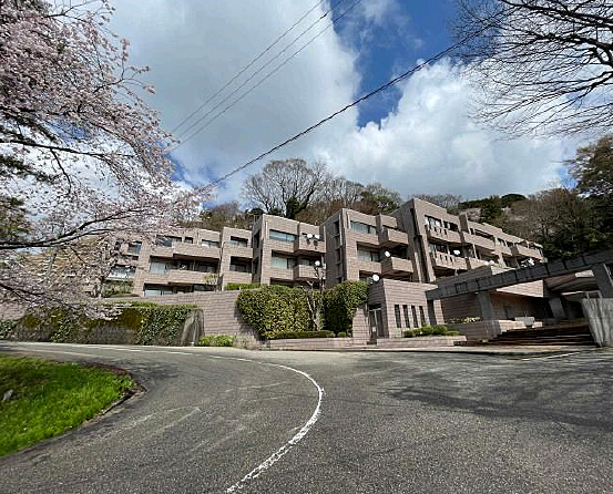 外観：317000011496