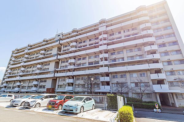 外観：313004691306