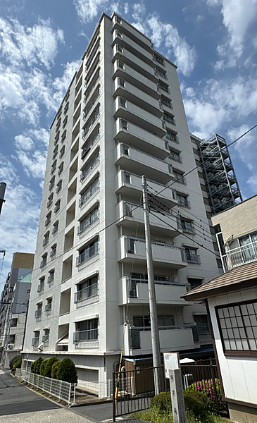 外観：313004786109