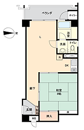 ヴィラ椿5号館 1LDKの間取図画像