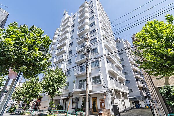 外観：313004819912