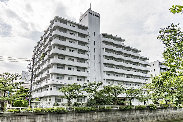 外観：313004826211
