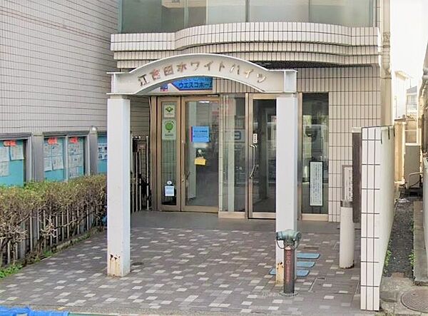 外観：313004835574