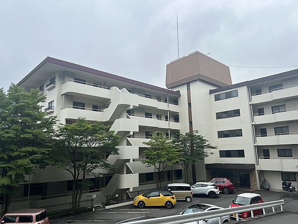 外観：314002819049