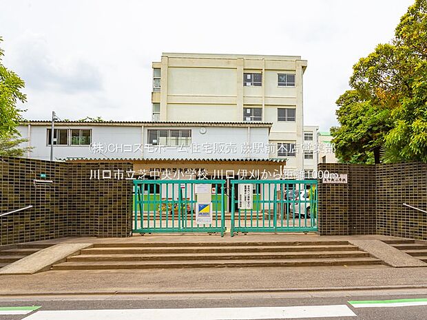 川口市立芝中央小学校(1000m)