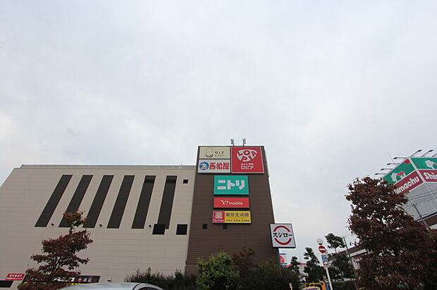 ニトリ（1430m）