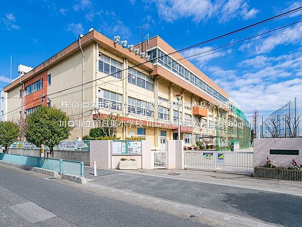川口市立朝日東小学校(800m)
