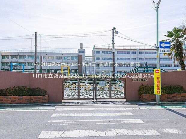 川口市立領家小学校（340m）
