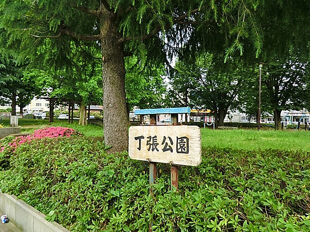 丁張公園（1060m）