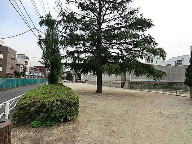 緑川公園(650m)