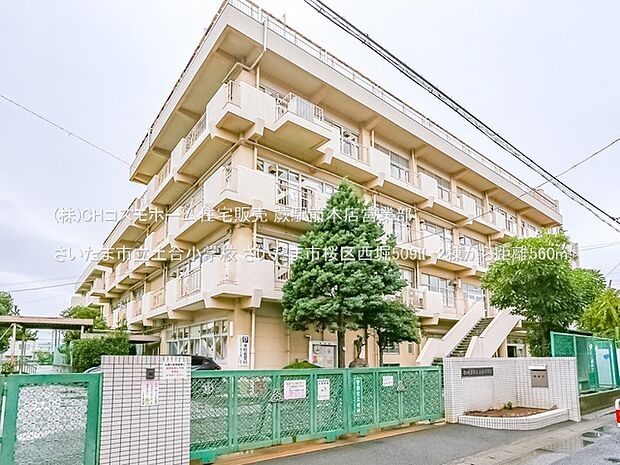 さいたま市立土合小学校（560m）