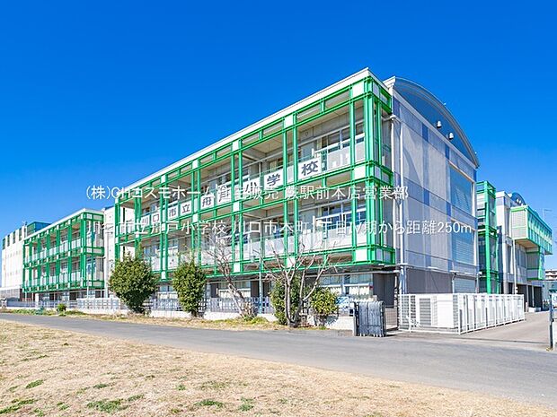 川口市立舟戸小学校(250m)