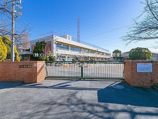 川口市立里小学校（1200m）