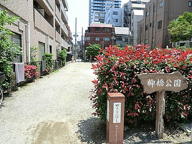 柳橋公園（310m）