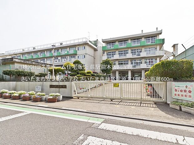 さいたま市立芝原小学校(600m)