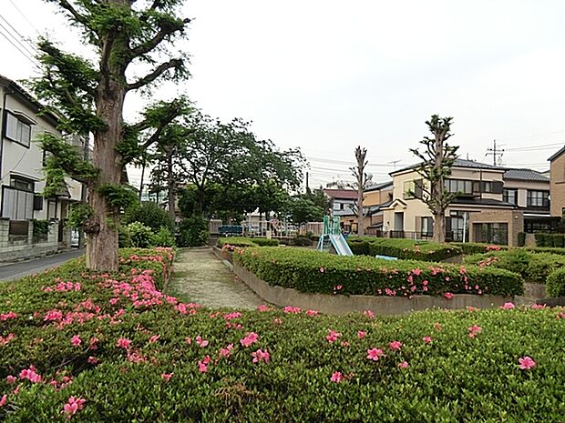 けやき公園(530m)