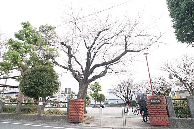 新田口公園(90m)