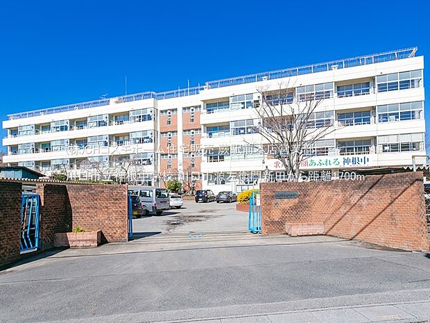 川口市立神根中学校(1700m)