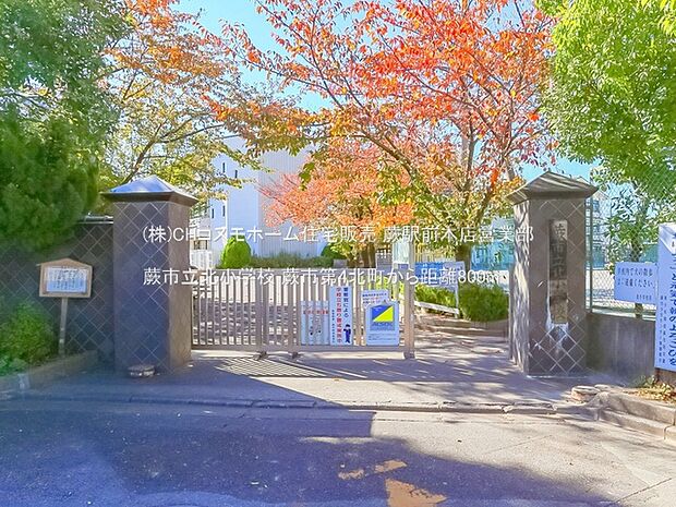 蕨市立北小学校(800m)