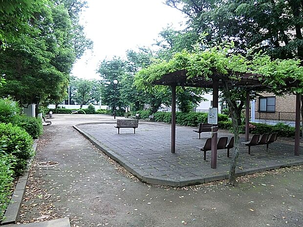 さくら公園(480m)