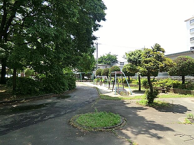 中央公園(300m)
