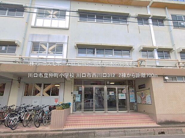 川口市立仲町小学校（700m）