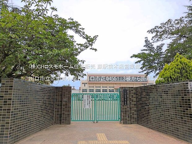 川口市立芝中央小学校(550m)