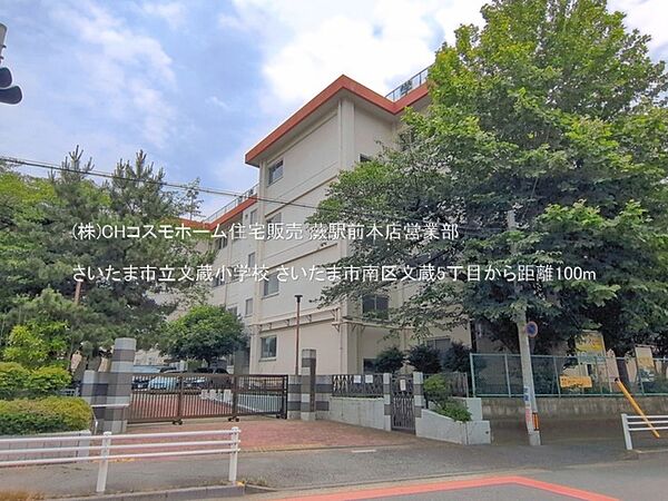 さいたま市立文蔵小学校（100m）