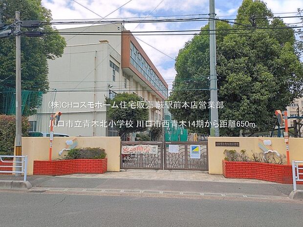 川口市立青木北小学校(650m)