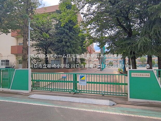 川口市立柳崎小学校(710m)