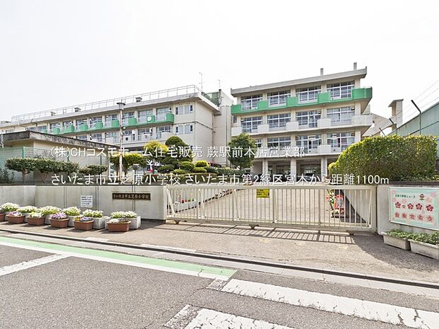 さいたま市立芝原小学校(1100m)